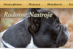 Radosne Nastroje